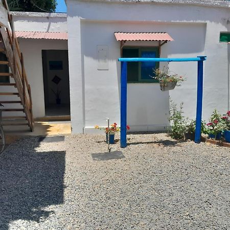 Hostal Paloma Cafe Palomino Exterior foto