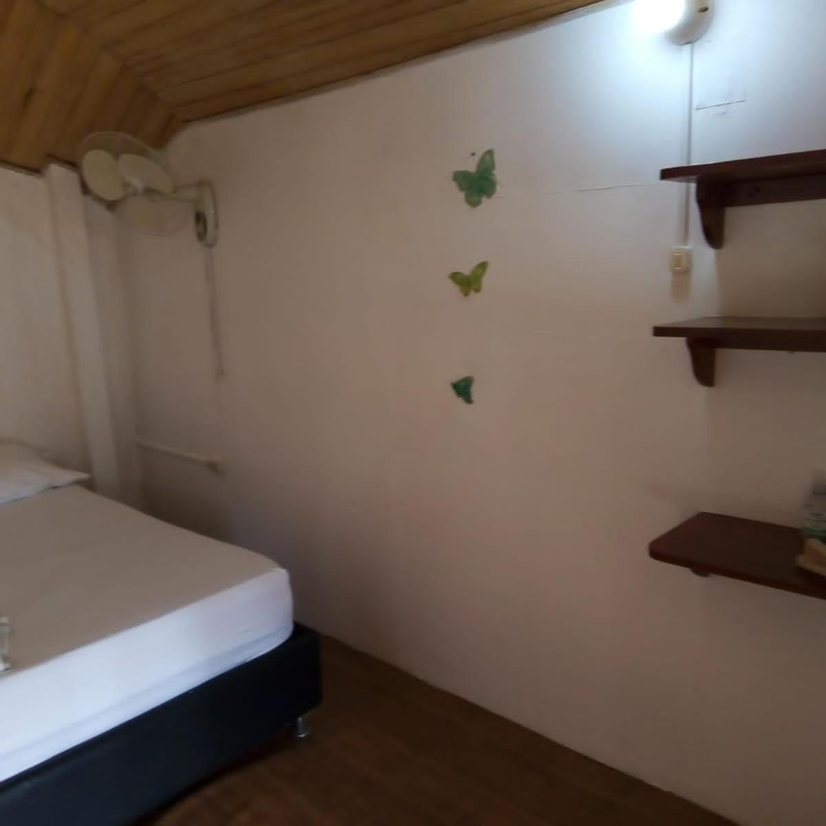 Hostal Paloma Cafe Palomino Exterior foto